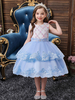 Robe de fille de fleur baby bleu en tulle à volants robe cortège enfant robe cérémonie fille