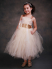 Robe de fille de fleur champagne Robe princesse en dentelle bretelles Robe tutu longueur aux jambes