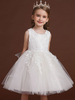Robe de fille de fleur col rond en dentelle jupe en tulle noeud sur dos à zip robe cortège enfant