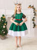 Robe de fête pour Noël Green Polyester Fibre à imprimé floral Costumes de vacances de Noël