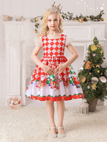 Robe de fête pour Noël Red Polyester Fibre Plaid Match Floral Print Christmas Holidays Costumes Robe