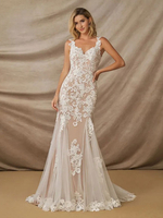 Robe de mariée col en V sans manches taille naturelle dentelle avec train robes de mariée