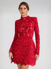 Robe en dentelle à col haut et manches longues pour fête danniversaire mini robe de printemps pour femmes 2025