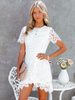 Robe en Dentelle à Col Rond avec Manches Courtes Coupe Cintrée Unicolore
