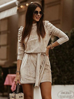 Robe En Velours Marron Café Nouée Plissée Manches Longues Col Haut Mini Robes