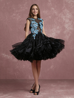 Robe subtenue de bal princesse en tulle noir col rond avec perles longueur genou