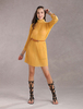 Robe subtile vintage avec ceinture de tenue charmante