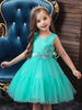 Robes cortège enfant col rond sans manche longueur genou Robe petite princesse