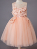 Robes cortège enfant mariage dentelle tulle sans manches princesse enfants dîner robes