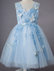 Robes cortège enfant pour enfants Robe de soirée formelle Bébé Bleu Dentelle Tulle Longueur Au Genou Papillon Princesse