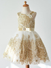 Robes de Fille de Fleur Champagne Sans Manches Robes de Soirée pour enfants Tulle Dentelle Col Rond