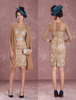 Robes mère de mariée 2021 Robe mère de mariés fourreau Tissu de satin champagne col rond avec dentelle longueur genou
