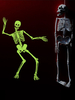 Stickers muraux PVC lumineux avec décorations Déguisements Halloween