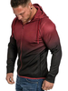 Sweat À Capuche En Polyester À Manches Longues Pour Hommes À Zip
