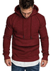 Sweat à capuche en polyester à manches longues pour hommes