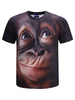 T-shirt Black Men 3D à imprimé animalier à manches courtes T-shirt décontracté