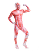 Toussaint Cosplay Costume de zentai enveloppé chair imprimé muscle Déguisements Halloween