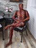 Toussaint Cosplay Costume de zentai unisexe enveloppé en lycra spandex multicolore à motif tigre Déguisements Halloween