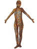 Toussaint Cosplay Costume de zentai unisexe enveloppé en lycra spandex multicolore détail motif tigre Déguisements Halloween
