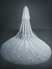 Voiles de mariage deux niveaux dentelle tulle coupe bord voile de mariée classique