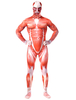 Zentai Adultes Lycra Spandex Monster Attack on Titans Unisexe Multicolor Jumpsuit Déguisements Halloween Toussaint Cosplay Costume