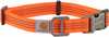 Carhartt Tradesman Collier pour chien,  orange,  taille L